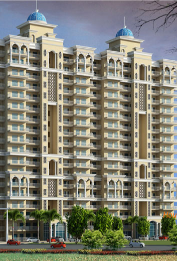 Deepak Mehta & Associates